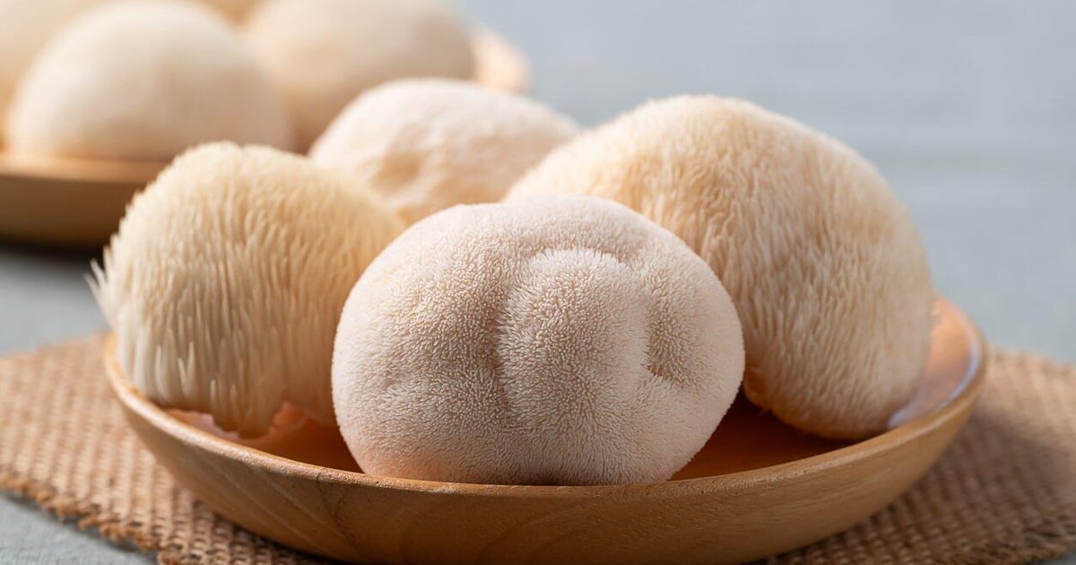 Lion's Mane - the mushroom supplement everyone is talking about, but few understand