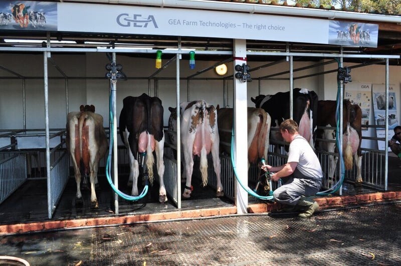 Agri-Expo Livestock 2015 – live six-point milking demonstrations by GEA