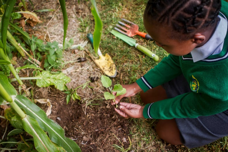 National EduPlant School Garden Competition 2025 Finalists announced