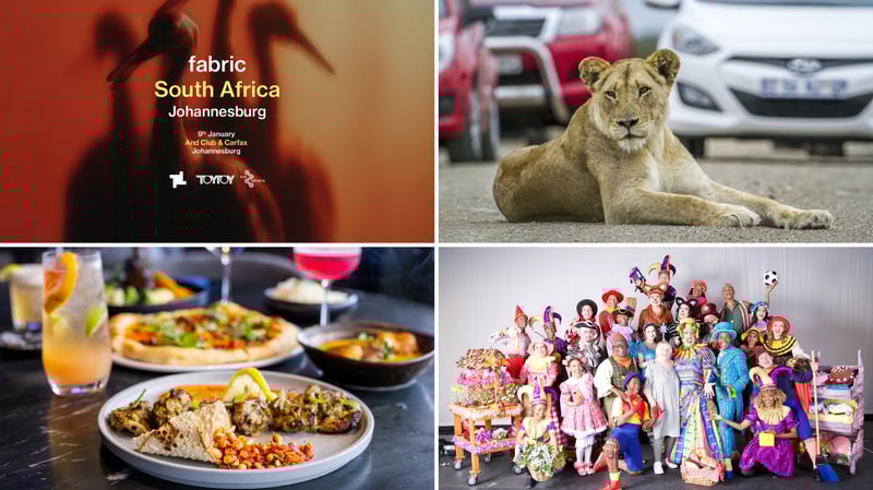 The Most Exciting Things to Do in Gauteng This Holiday Season