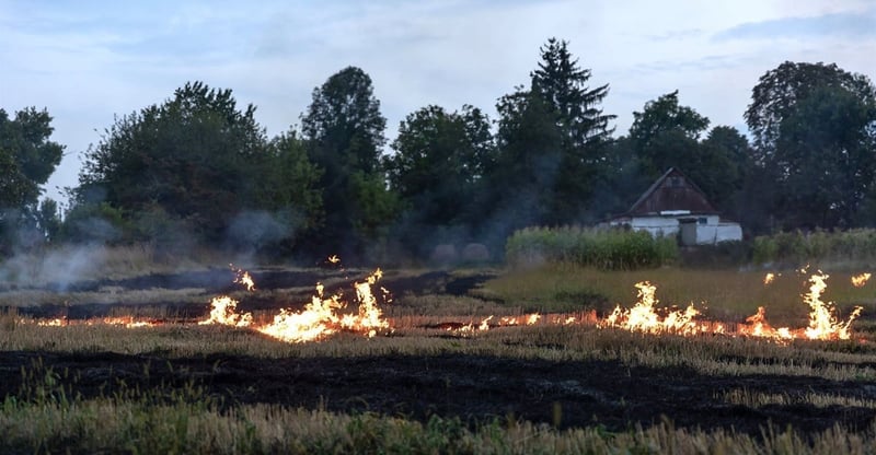 Rising Veldfires Threaten South Africa’s Crops Livestock And Food Prices Amid Growing Security Concerns