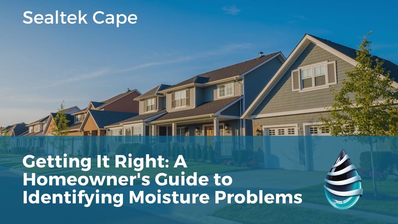 Sealtek Cape Highlights Critical Importance of Accurate Moisture Diagnosis for Homeowners