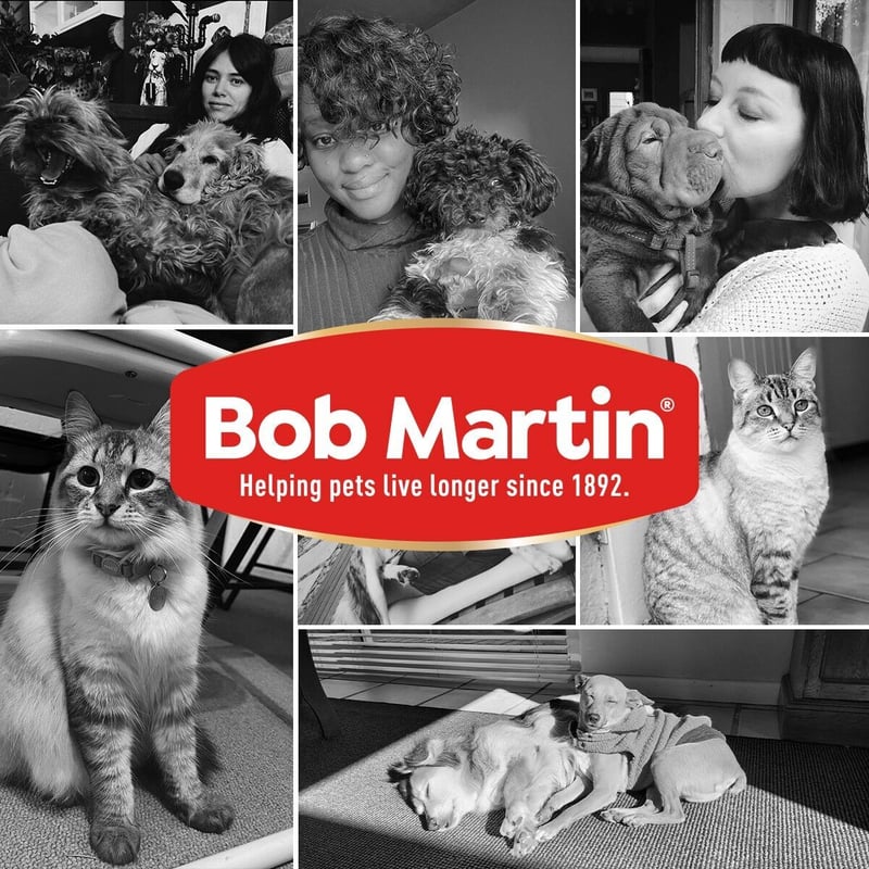 Clockwork wins Bob Martin account