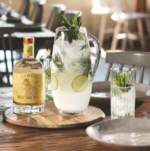 Going dry this January? Stay Spirited with this Survival Guide