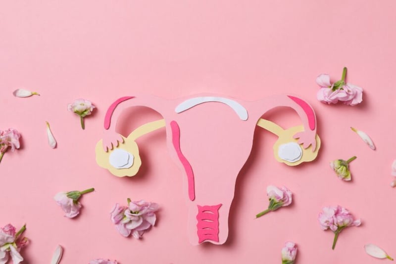 Reproductive Health and Safe Support Options