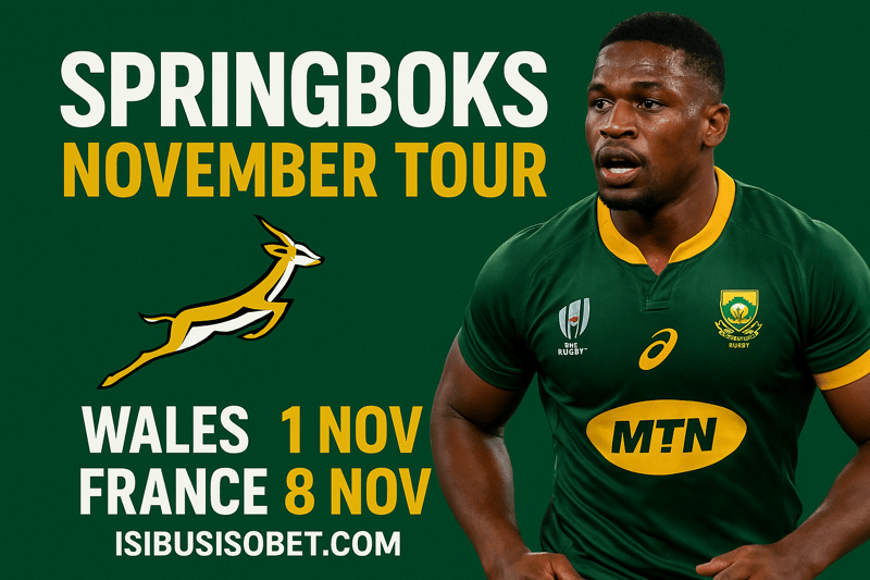 Springboks Set for Blockbuster November Tour - Wales and France Await