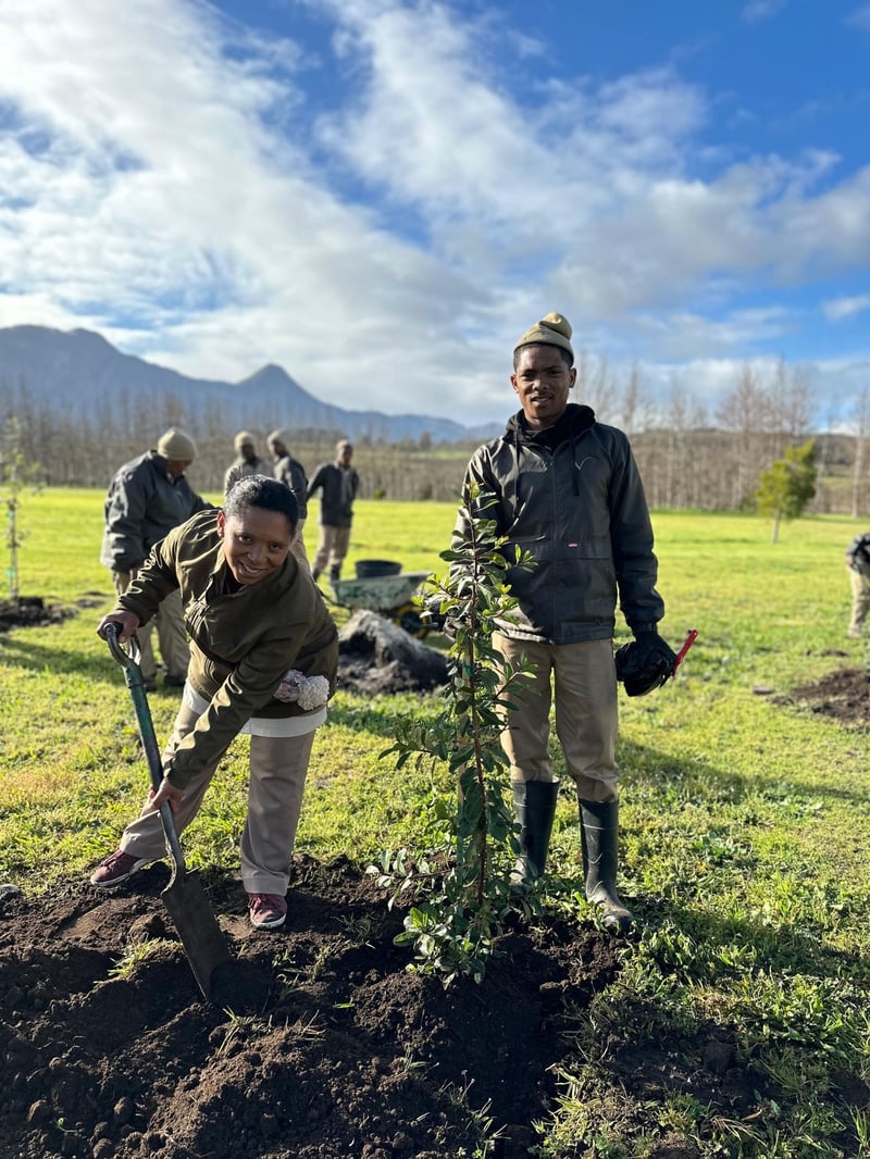 Planting for Tomorrow at Vergelegen