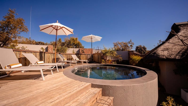 Mhondoro Unveils Family Pool Suite Offering Luxury Safari Experiences For All Ages