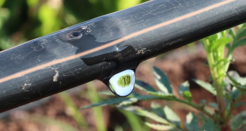 Netafim And Amazon India Launch Irrigation Drive Saving 325 Million Litres Of Water Annually