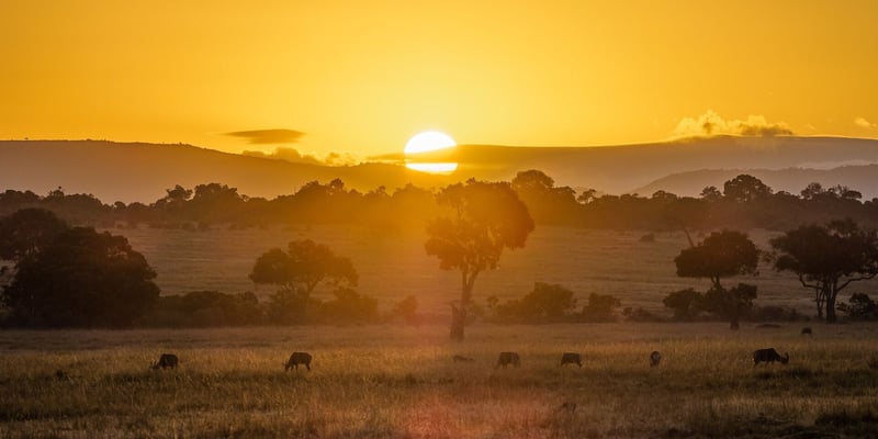 President Ruto Breaks Ground On Maasai Mara Airport As Concerns Over Ecological Impact Mount