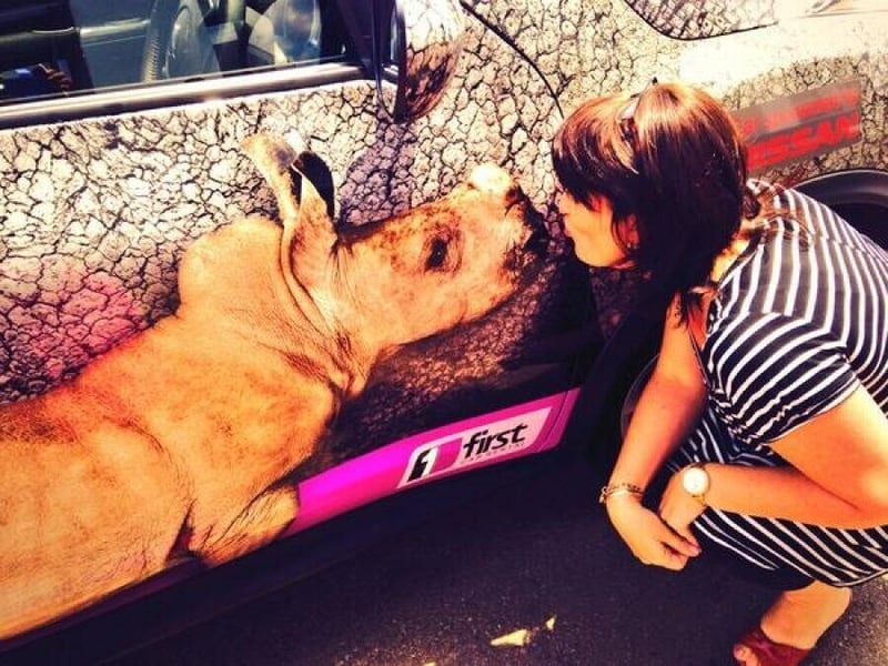 Business Opportunities and Franchise Expo Raising Awareness for World's First Rhino Orphanage