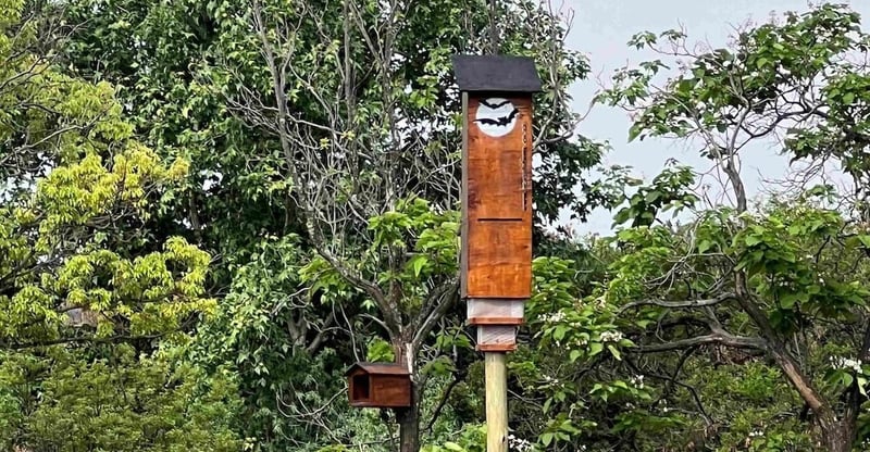 Emira Introduces Eco Friendly Pest Control Solution To Safeguard Wildlife And Support Biodiversity