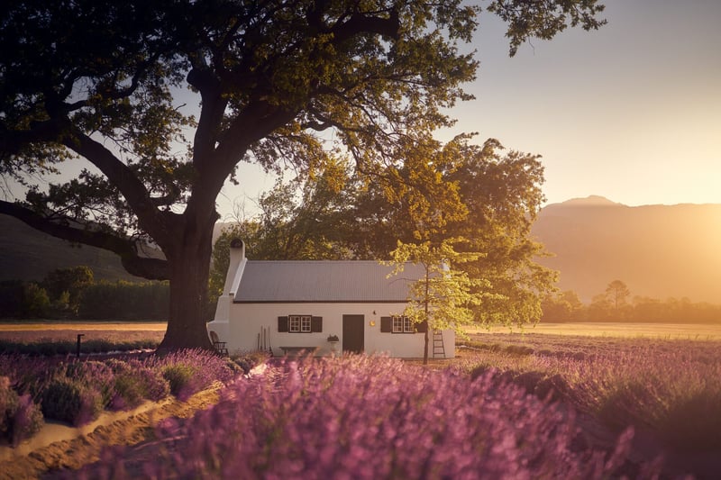 JAN Franschhoek Season V Returns At La Motte With Reimagined Family Table Experience
