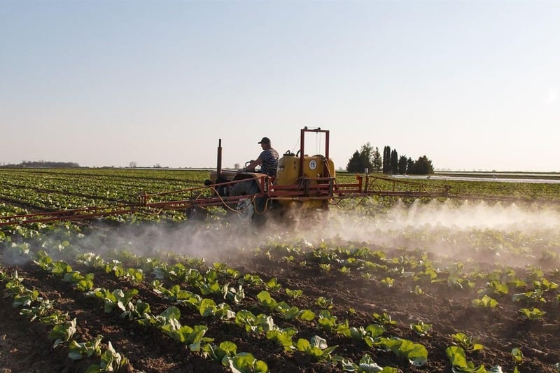 AgriSA sets five priorities for South African agriculture focusing on land, resources, labour, safety and trade