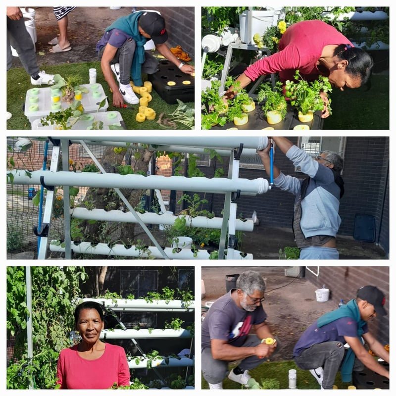 Cultivating Sustainability - The Salesian Hydroponics Eco Ubuntu Project