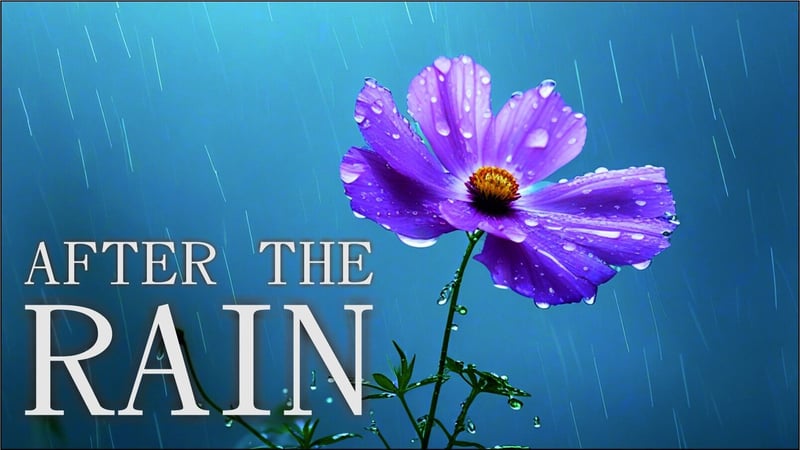 After the Rain - Fos4is launches an emotional new music video