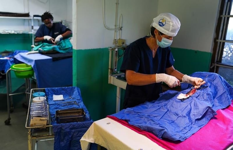 1000 Sterilisations for Pets in Khayelitsha