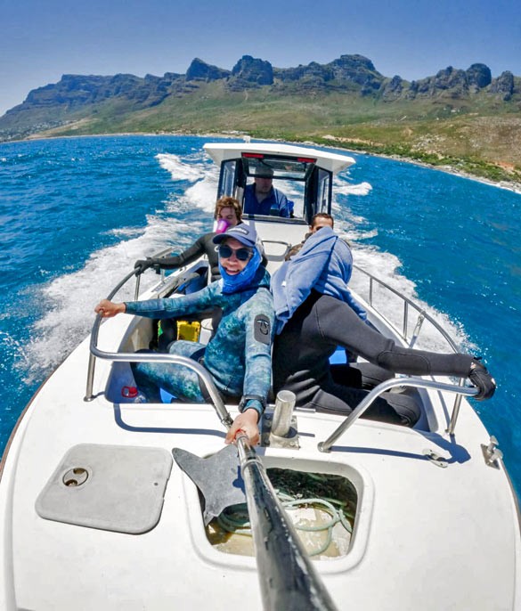 Oceans Africa Launches Private Boat Trips in Cape Town for Families, Couples, and Small Groups