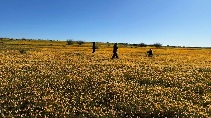 Explore, Experience, Escape to the #EternalSummer on the West Coast Way