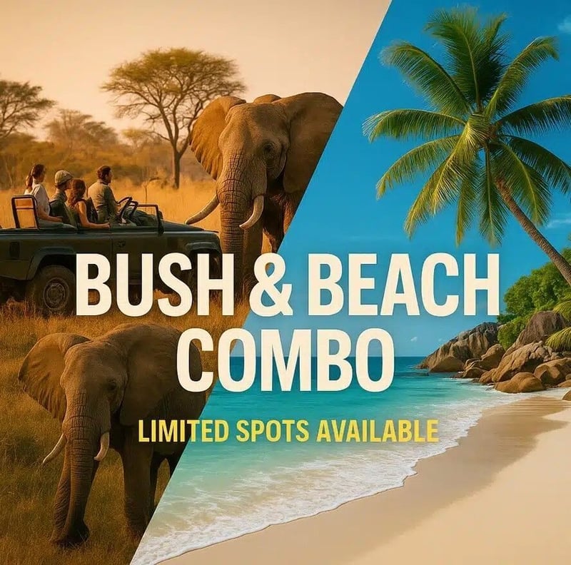 Voyage2Africa Launches Exclusive Bush-to-Beach Safari Vacations
