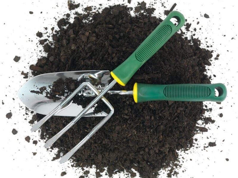 Let your garden skills blossom on Garden Day with GardenShop