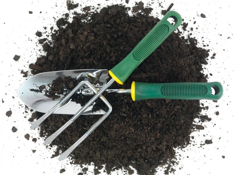 Let your garden skills blossom on Garden Day with GardenShop
