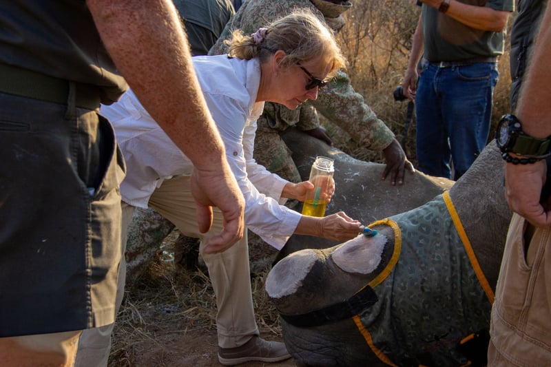 Martin Meyer Safaris Responds to Agent Demand for Authentic, Conservation-First Safari Experiences