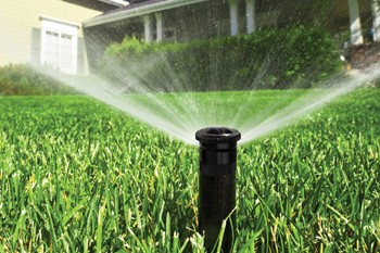 Johannesburg Garden Services Launch Summer Festive Makeover Packages for Outdoor Entertaining