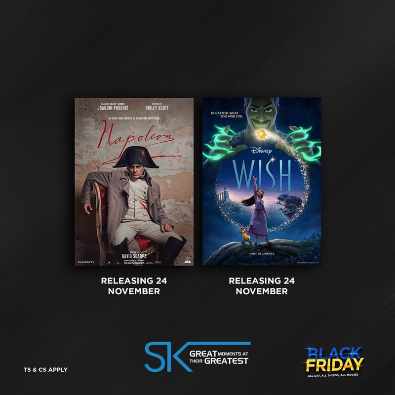 All movies, all sites for only sixty bucks… all day on Black Friday at Ster-Kinekor