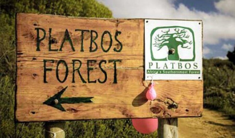 First Car Rental Supports Platbos Forest Future