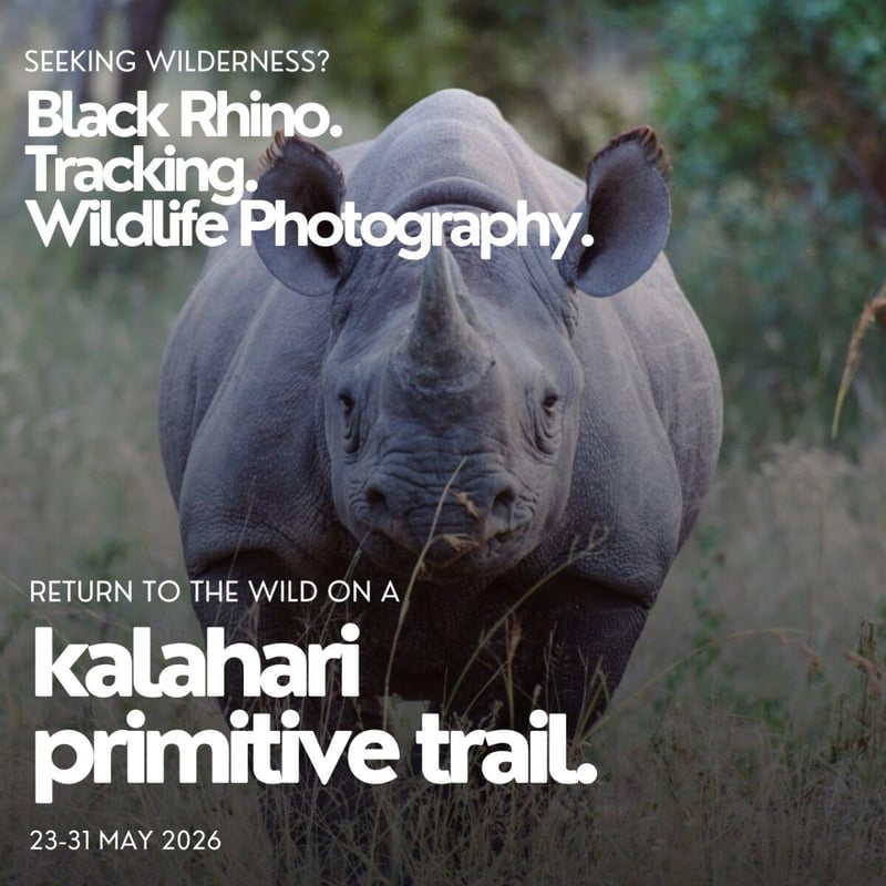 Tchagra Trail Wilderness Consulting Launches a New Safari Experience in Photography and Tracking