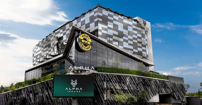 Body Action Gym Challenges Motivation Culture With A System-Driven Approach To Performance