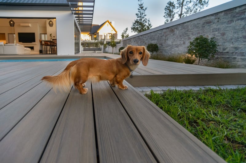 Everlasting Memories Of The Great Outdoors