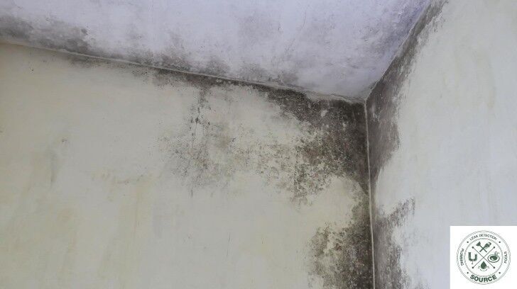 Detect and Fix Hidden Leaks with Experts