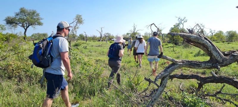 Walking Safari vs. Game Drive - Which African Safari Experience Is Right for You?