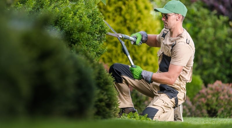 Green Cube Maintenance & Landscaping Addresses Why Pretoria Homeowners Are Outsourcing Their Garden Maintenance