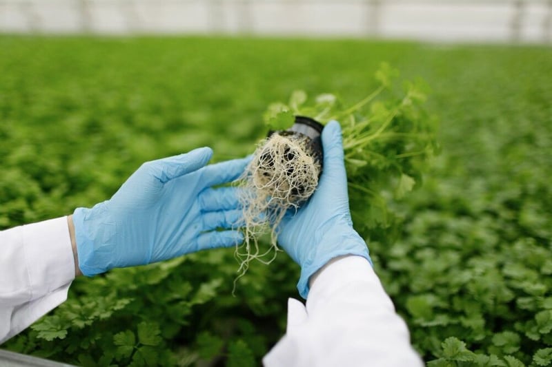 The Future of Farming Might Not Be What You Think — And That’s a Good Thing