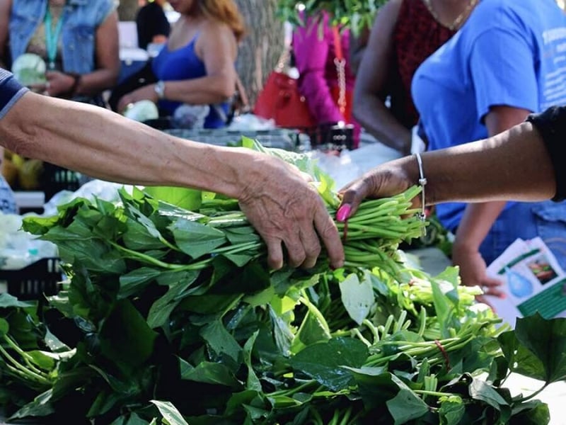 Agribusiness during Covid - How leadership creates winning strategies