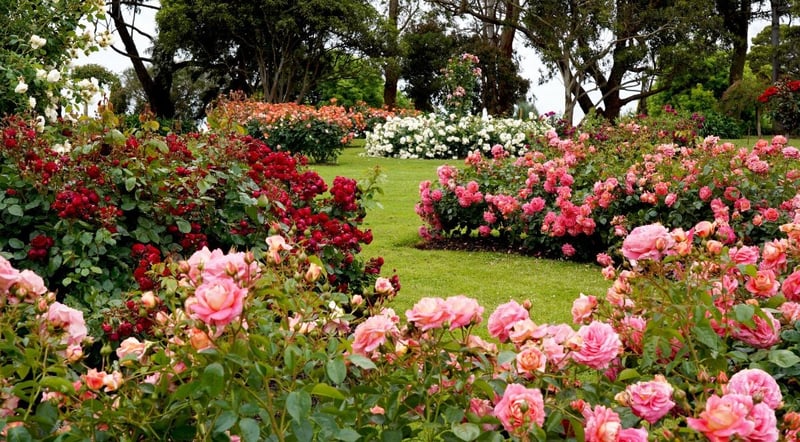 Green Cube Maintenance & Landscaping Shares Expert Guide on Preparing Properties for Events and Viewings with Instant Lawn