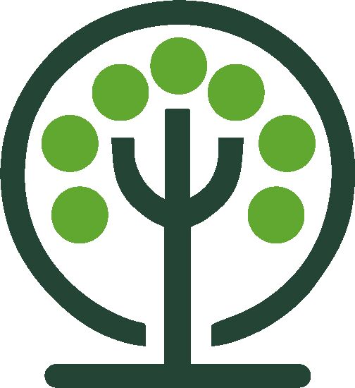 Rhema Tree Fellers Offers Professional Tree Felling Services in Cape Town