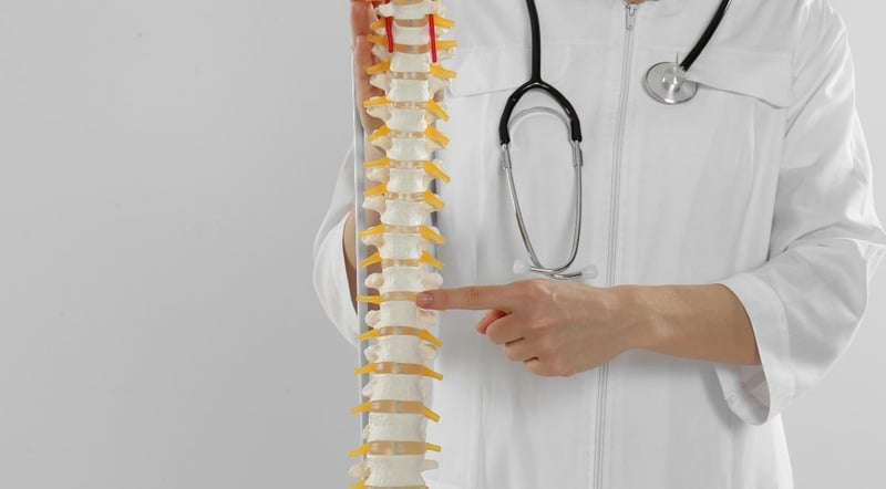 The Chiropractors Publishes New Guides on Youth Sports Injury Recovery and Spinal Health for Active Seniors