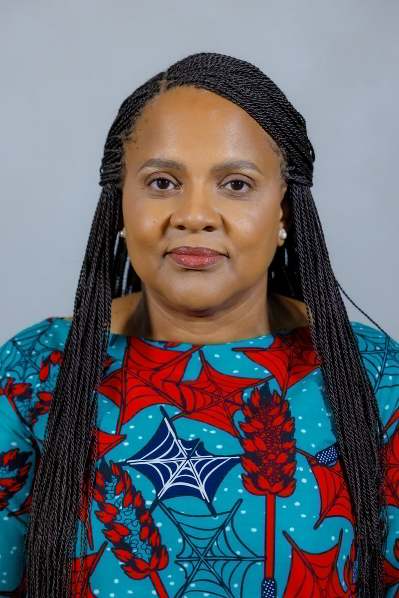 Development Bank of Southern Africa Appointed to Support the Delivery of the Credit Guarantee Vehicle That Will Unlock Private Capital for Infrastructure