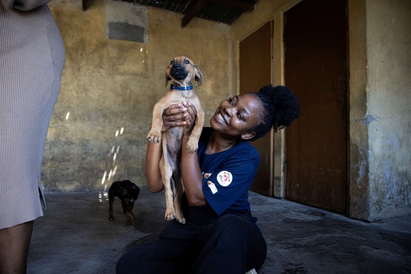 World Animal Day 2025 -  "Save Animals, Save the Planet!"