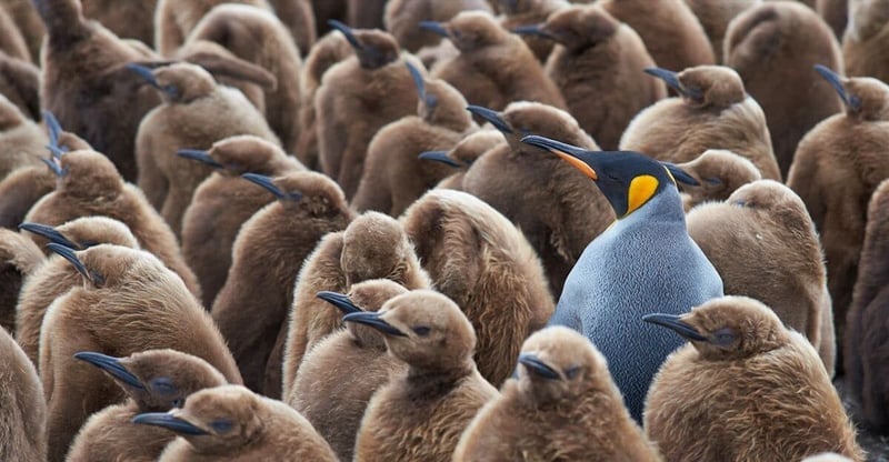 The Hidden Cost OF Content Chaos - And Why WE Need TO Start Wrangling IT