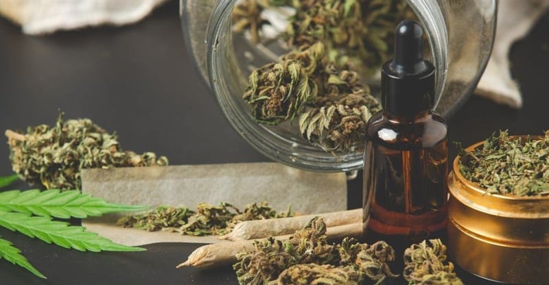 Draft Cannabis Possession And Cultivation Limits Open For Public Comment Until March 2026