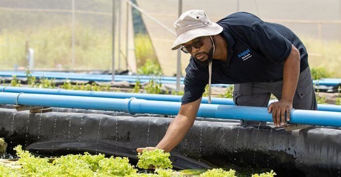 Empowering South Africa's Youth Through Education And Skills Development