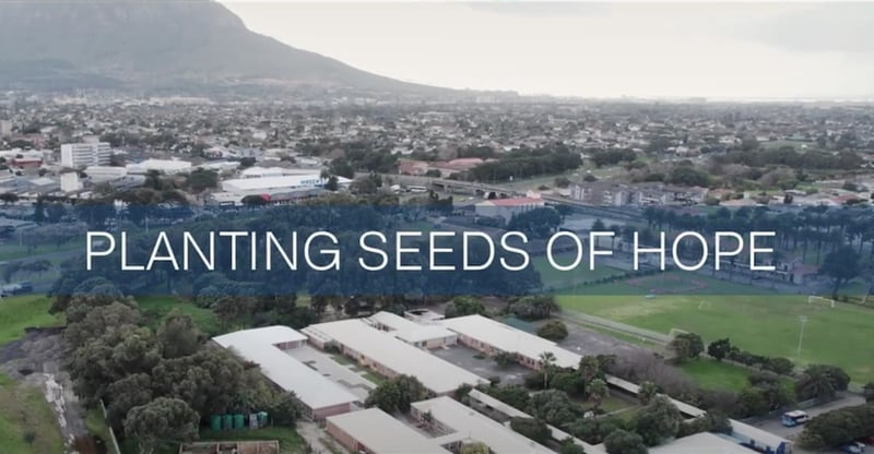 Libstar’s Nourishing Hope Delivers Wholesome Meals and Garden Growth to Bel Porto School