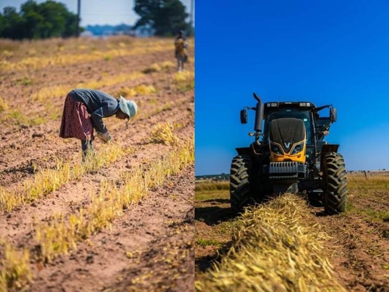 Promoting National Food Security. Building sustainable agricultural sourcing through farmer support
