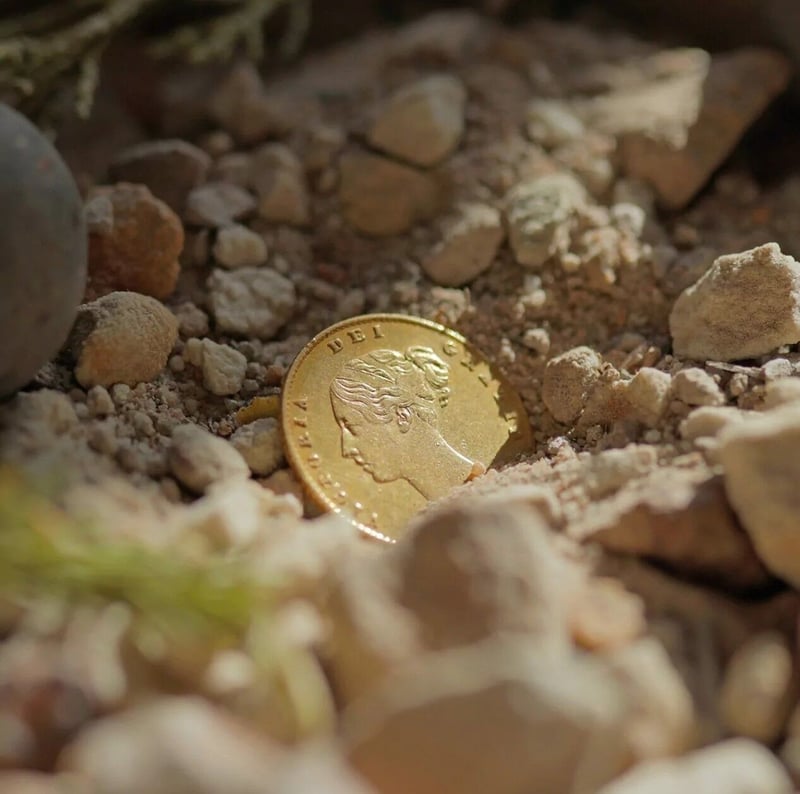 Sustainable Ceder Celebrates Successful Launch with a Auction in Aid of Raising Funds for Conservation Efforts in Cederberg, South Africa