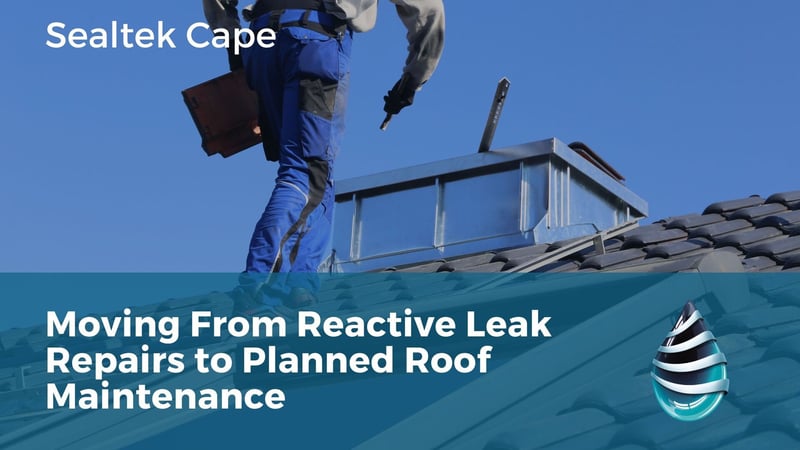 Sealtek Cape Publishes Guide on Moving Commercial Buildings From Reactive Leak Repairs to Planned Roof Maintenance